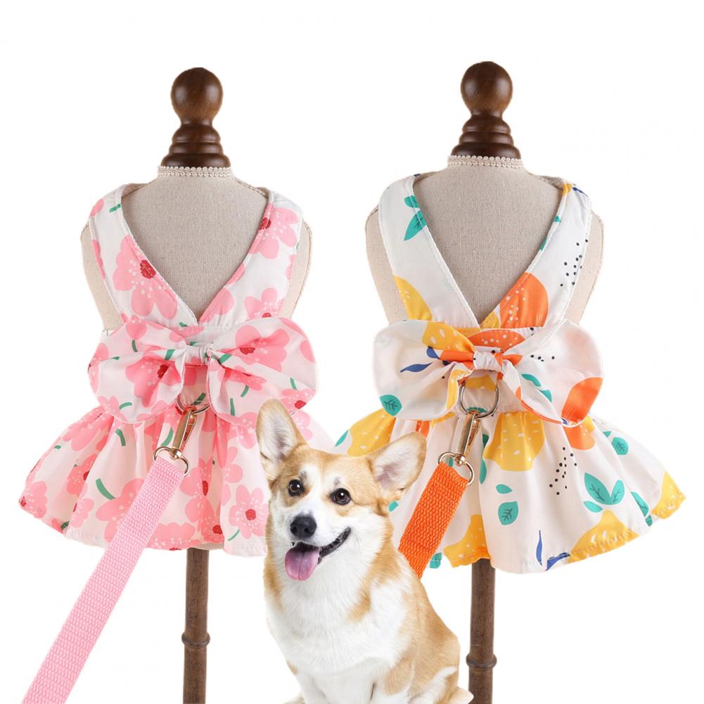 Cute Dog Dress Summer Outdoor Activities And Leash Set with Bowknot Decoration Pet Cat Princess Dress for Spring