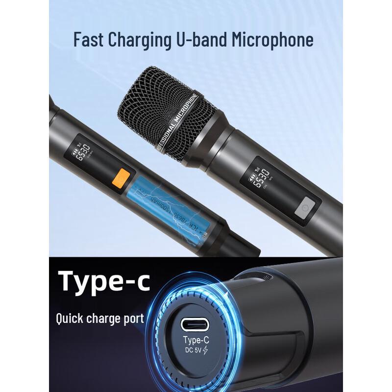 SANSUI Q52 Outdoor/Home Karaoke System with Display CN Plug (adapter Included)