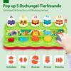 Pop Up Baby Toy  with Music & Light, Toddler Montessori Toy, Early Development Cause and Effect Toy Gift for Children
