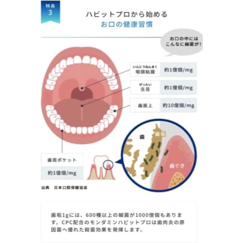 [Dental Clinic Exclusive] HABITPRO (1080ml) Set of 2, White