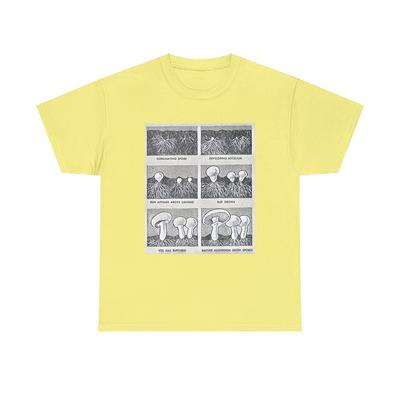 Pilzwachstumszyklus Grafikdruck Kurzarm Unisex Schweres Baumwoll-T-Shirt