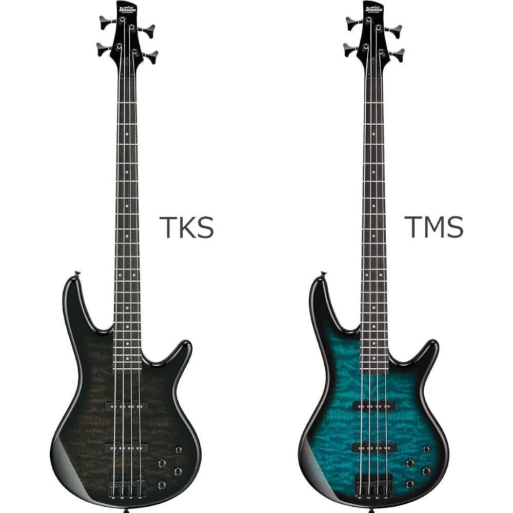 Gio Ibanez GSR280QA Bass Beginner 12 Piece Set [with Rechargeable Mini Amplifier] TMS Electric Ba...