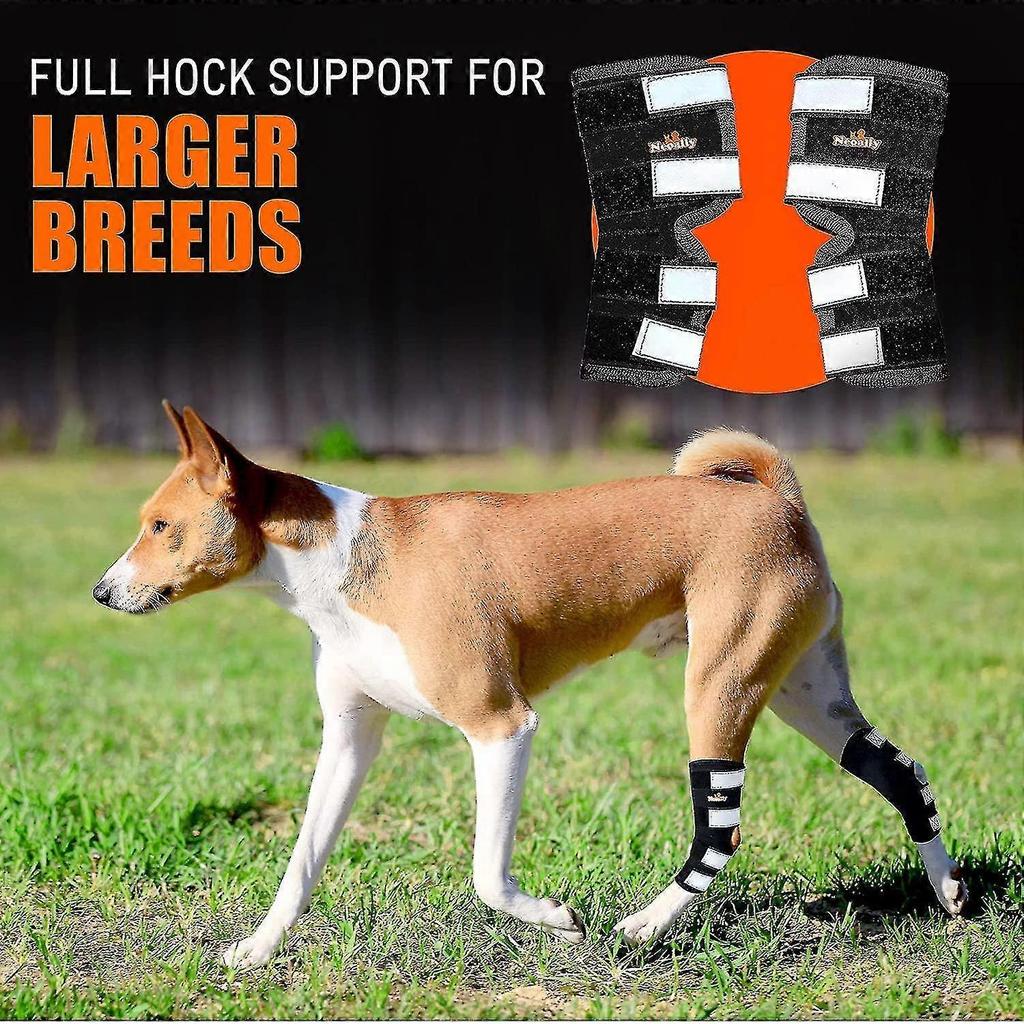 Férula Trasera para Perro Soporte Articulación del Corvejón Trasero Canino Con Correas Reflectantes de Seguridad Para Protección Contra Lesiones Articulares Esguinces 1 Par