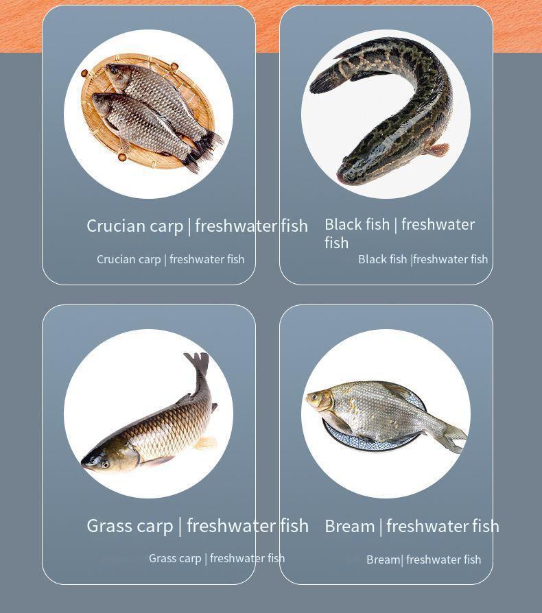 Electric Fish Scaler & Remover Tool