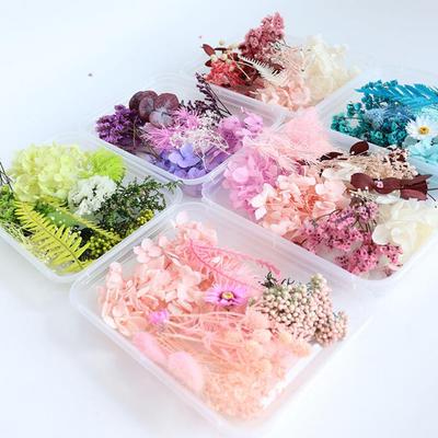 1 Krabička DIY Formičky na Aromaterapeutické Svíčky Sušené Květiny Suché Rostliny Konzervované Květiny pro Odlévání do Epoxidové Pryskyřice Nástroje pro Řemesla