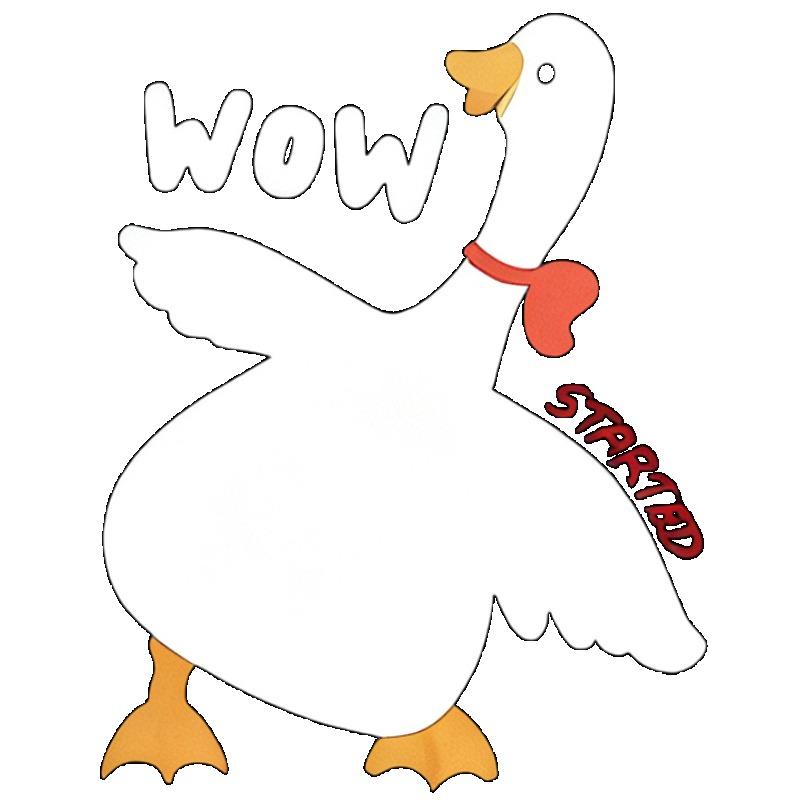 Oversized T-Shirt Black Duck Print With Wow Text Casual Wear For Women Summer Streetwear Fashion