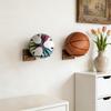 Basketball Holder Wall Mount