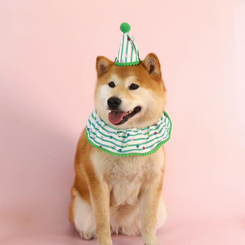 Conjunto de Bufanda y Sombrero de Cumpleaños para Mascotas Bufanda a Cuadros y Sombrero con Volantes Accesorios Temáticos para Fotografía para Gatos y Perros Adorable Set de Babero y Bufanda