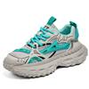 Summer new mesh shoes breathable thin deodorant thick sole heightening dad shoes casual shoes