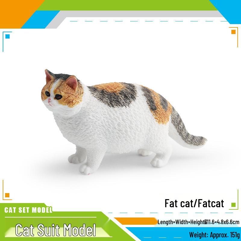 Children's Kitten Model Set: Ragdoll Cat, Lazy Orange Cat, Paw-Up Grey Cat, Sleeping Calico Cat, Lying Siamese Cat Figurines.