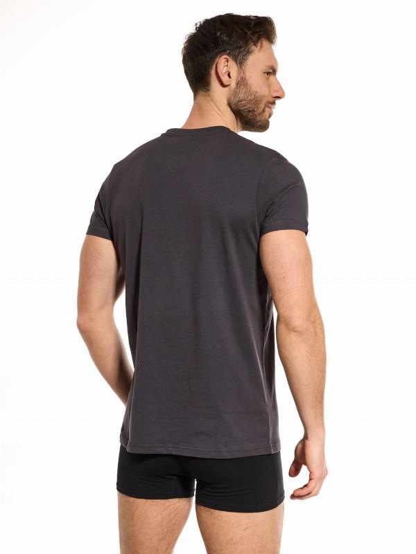 Bluzka krótki rękaw t-shirt męski bawełna grafit butelka whiskey xxl v011c