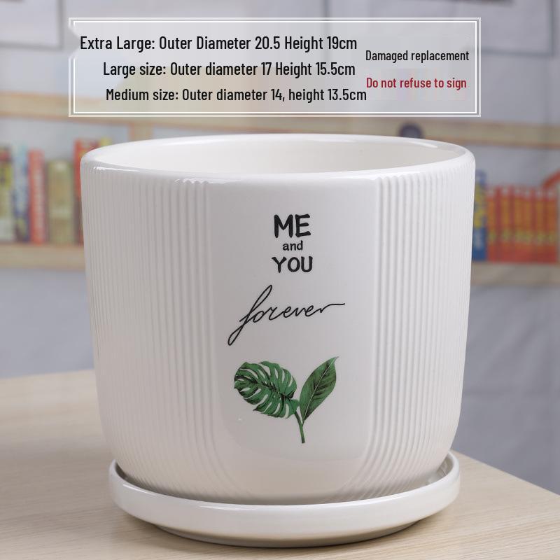 Simple White Ceramic Flower Pot with Base for Indoor Plants - Available in Large and Extra Large