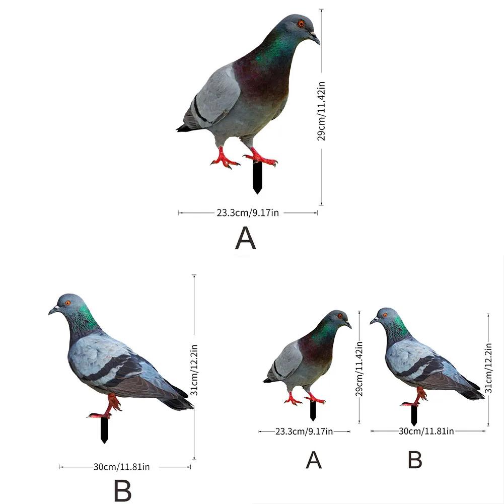 Farm Figurine Pigeon Card Install Outdoor Package Content Garden Pigeon Acrylic Farm Themed Decoration Realistic Appearance Card