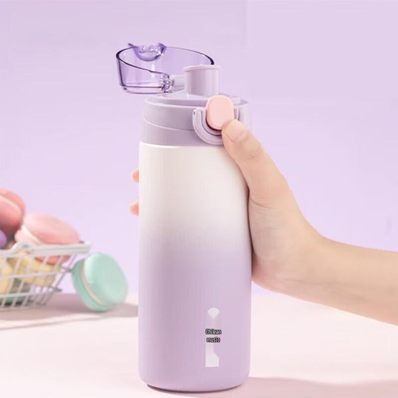 cille XB-23122 316 Stainless Steel Insulated Bottle