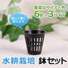 Happy Spring Hydroponic Cultivation Pot, Basket Pot, 6 Colors, 3 Sizes, Set of 10 (Large, Black)