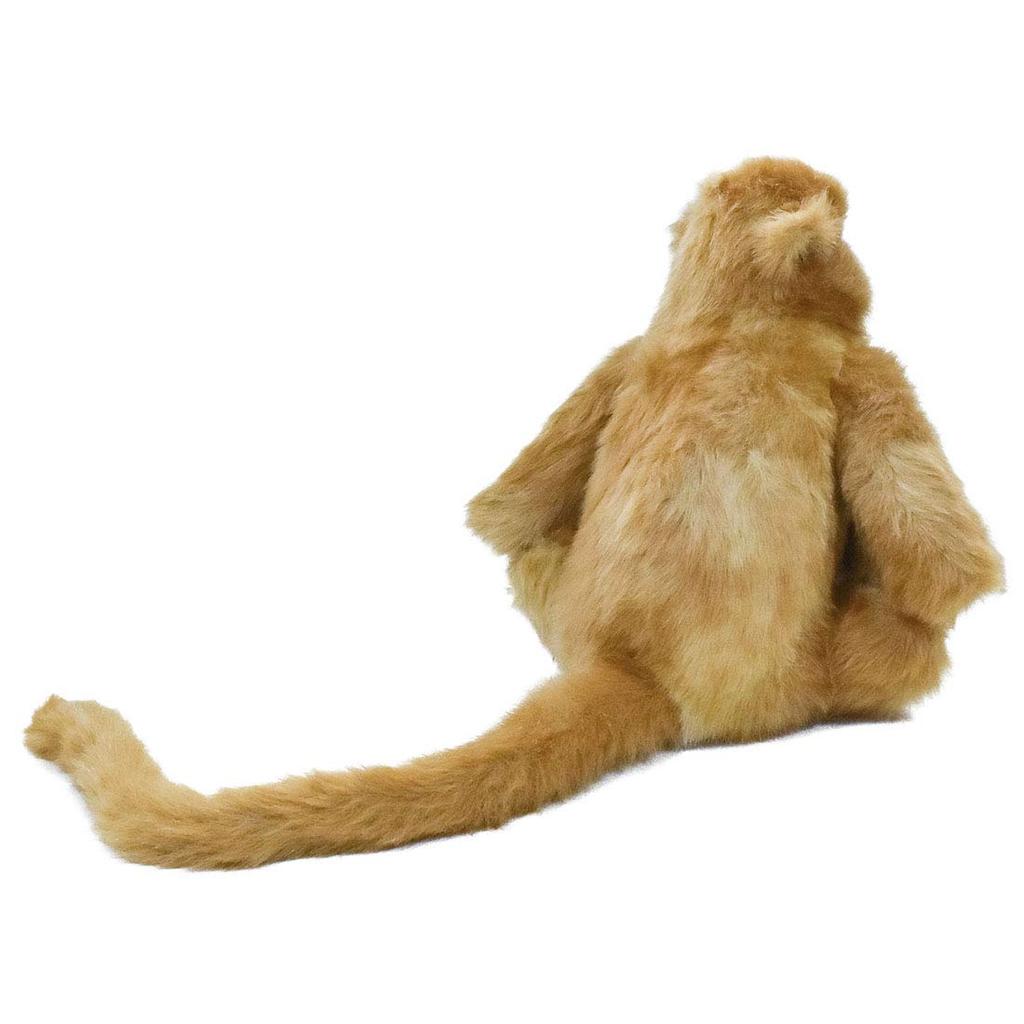 BH6766 HANSA Snub-nosed Monkey 47