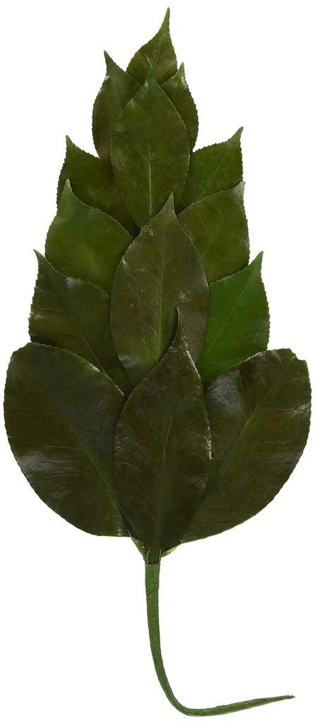 Large Preserved Sakaki Tree (1 Pair)