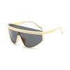 One-piece Oversized Frame Women's Fashion Sunglasses Cool Personality Suitable for Street Party Accessories
