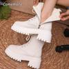 Fashion Women's Winter Warm Short Plush Ankle Boots Comfy Pu Leather High Heels Botas Mujer Fashion Lace Up Zip Platform Modern Boots