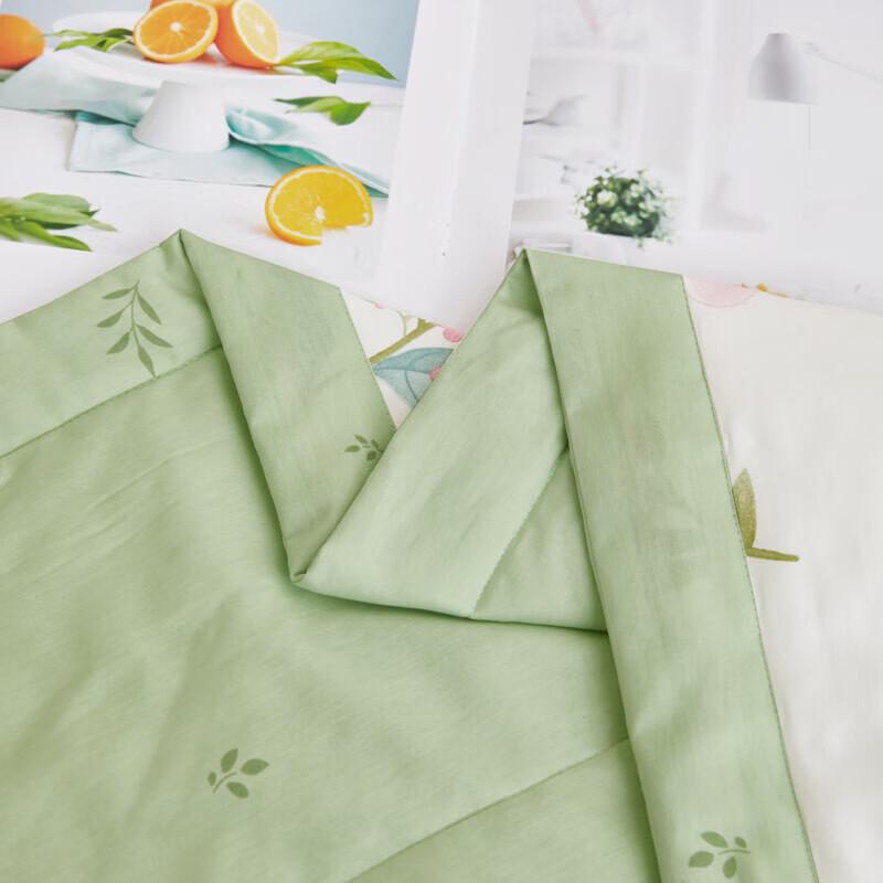 Bigeman Autumn Water Mint Summer Quilt