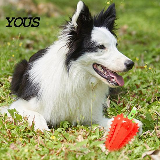 Interactive Foraging Toys for Dogs Spiky Chili Dog Chew Toy, Treat Dispenser Durable Rubber Toy Teeth Cleaning, Mental Stimulation Food
