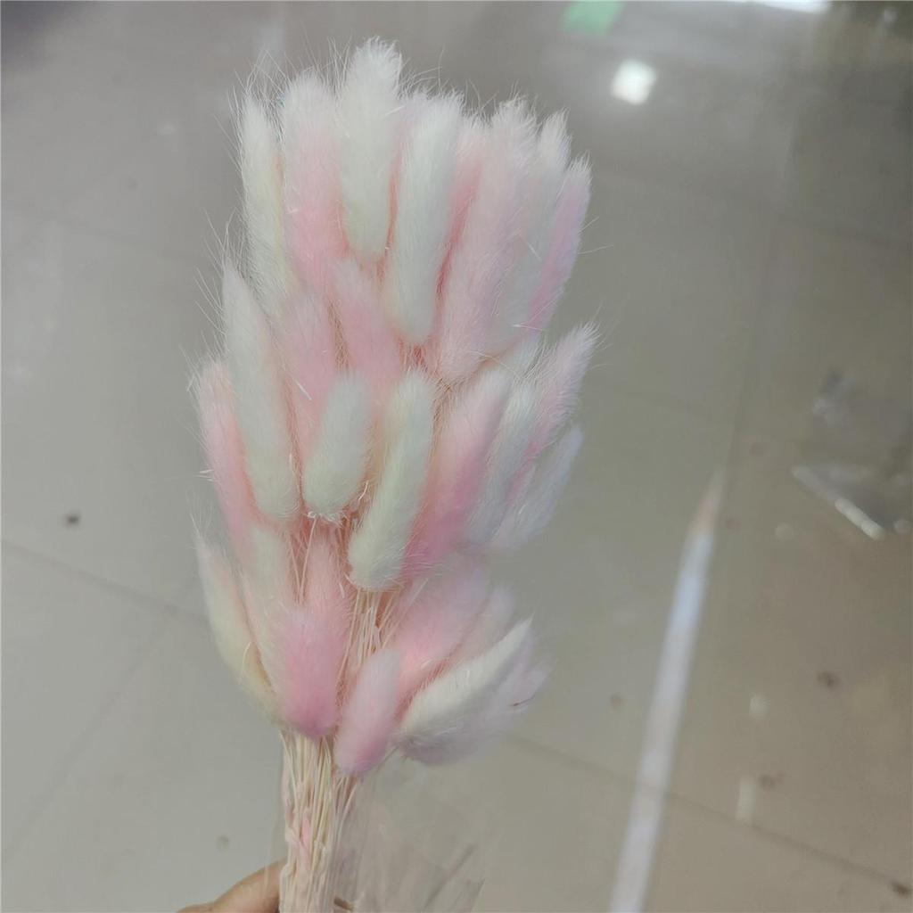 Yunnan Dried Flowers Bouquet - Rabbit Tail Grass