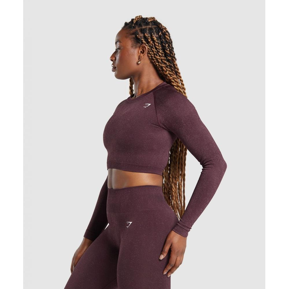 Gymshark Adapt Fleck Seamless Long Sleeve Crop Top Depth Purple  Steel Purple B2a1c Pb0w
