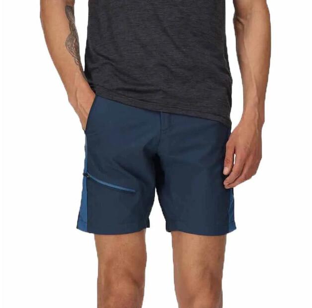 Regatta Highton Pro shorts