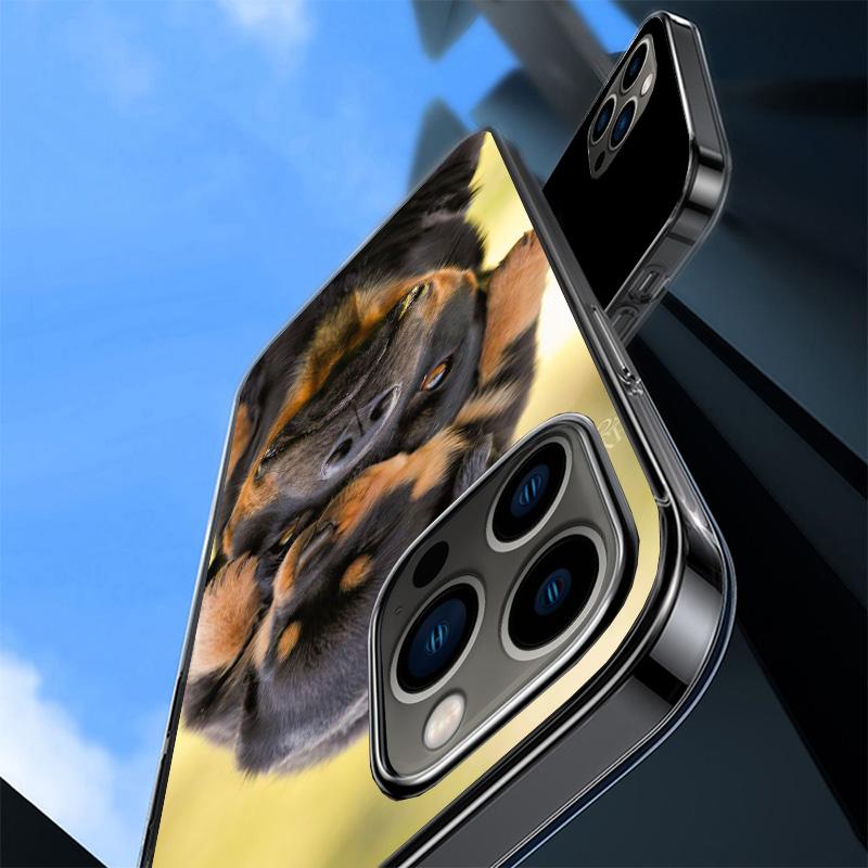 Rottweiler Dog Cover Phone Case For iPhone 16 17 Air 15 14 Pro Max 16E Phone Case 13 Mini 12 11 7 SE 8 Print Pattern Fit Cases 1