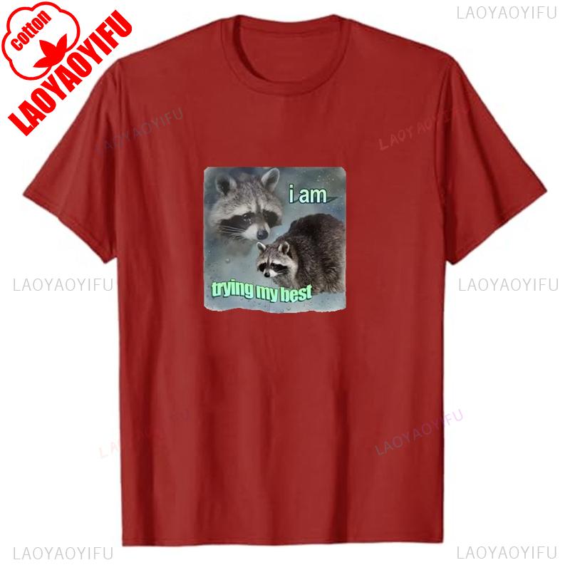 I Am Trying My Best Raccoon Meme T Shirt Funny Lovely Unisex WoUINISEX Tshirt Breathable Loose Fashion Short Sleeve Oneck T Shirts