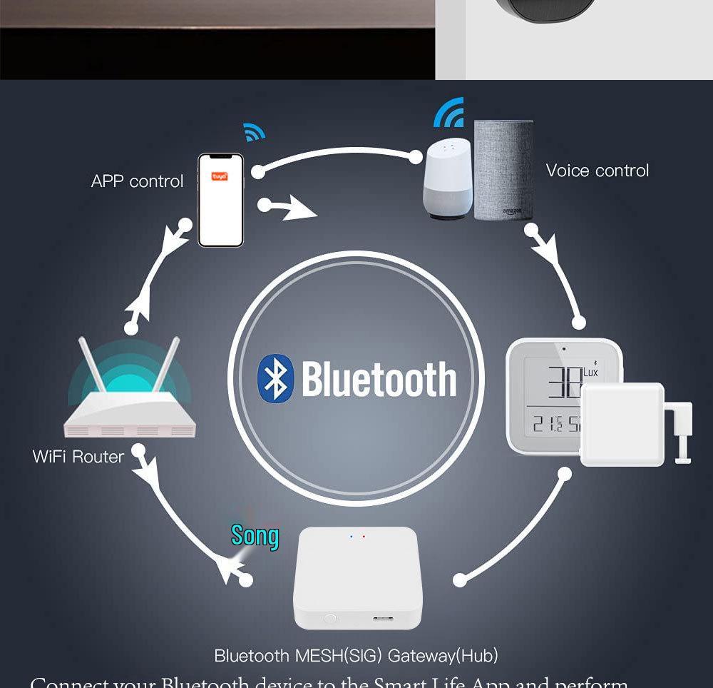 Tuya Graffiti Bluetooth Mesh Gateway: Smart Alexa Voice & App Wireless Remote Control