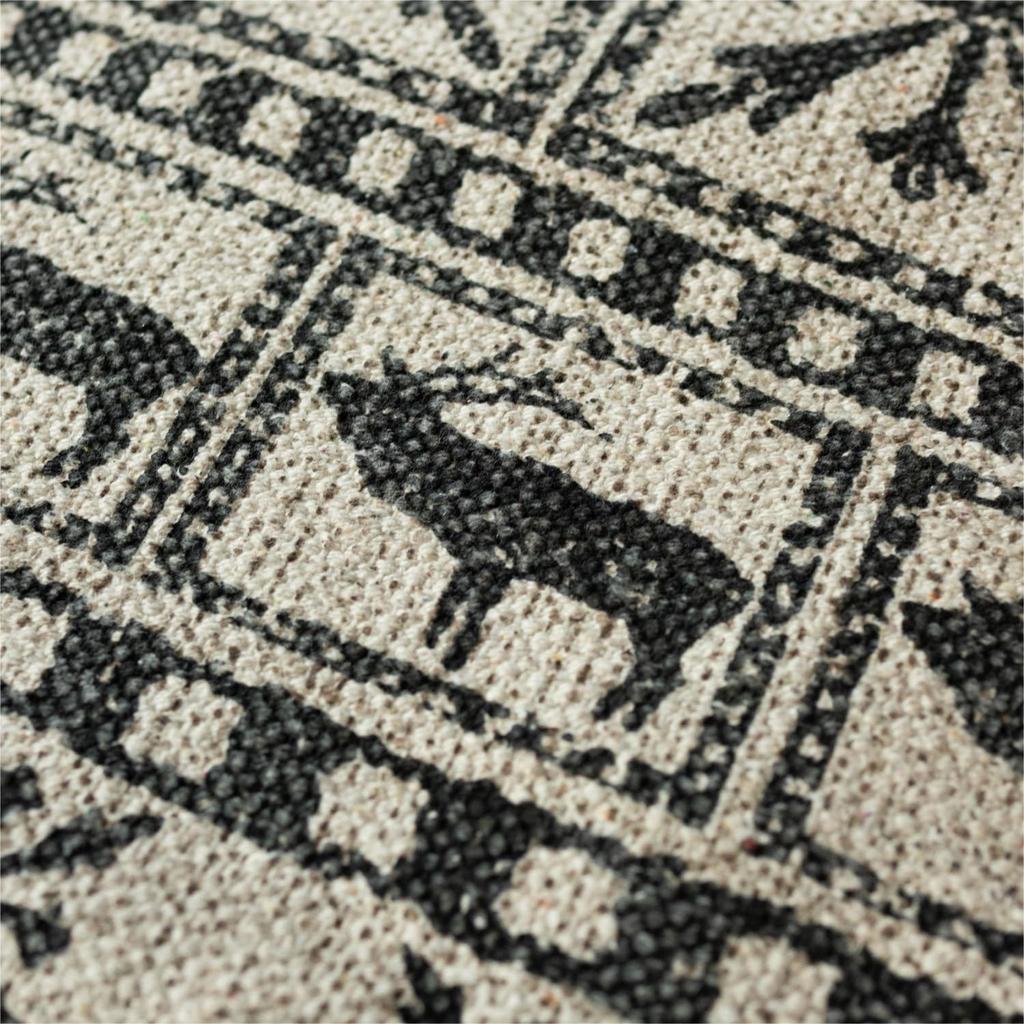 Sayan Sayan Pazylik Anti Washable Handmade Black Rug/Carpet, Cotton, 200x250mm,