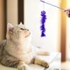 2-Piece Cat Toy Set Feather Toy with Replacement Feather Sticks, Fun Cat Toy, Pet Supplies, Exercise Relief, Stress Relief, Indoor Games, Fun Cat