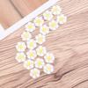 20Pcs 13Mm White Plastic Artificial Daisy Flowers Craft Supplies for Scrapbooking Home Decor Resin Flower Accessory Flower Beads