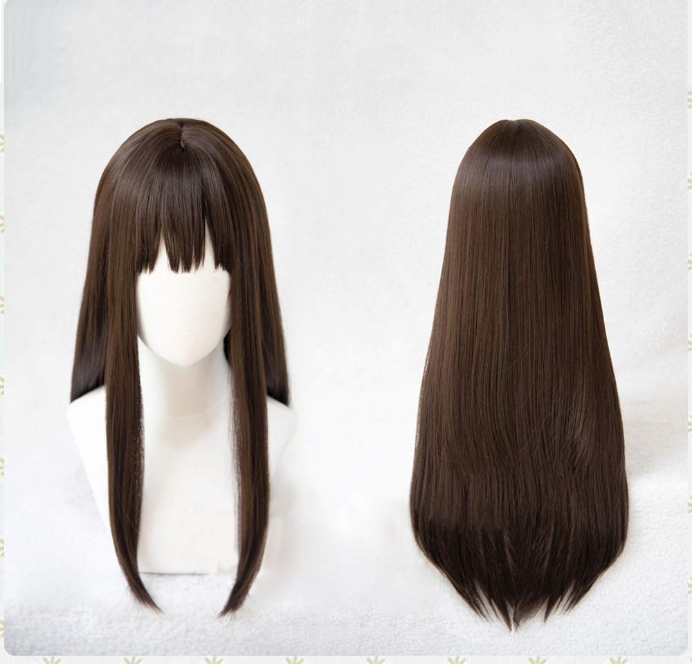 Cosplay Long Costume Costume Disguise Plus 2 Bonus Items Heat-resistant Wig, Brown, Hair, Wig, Wig,