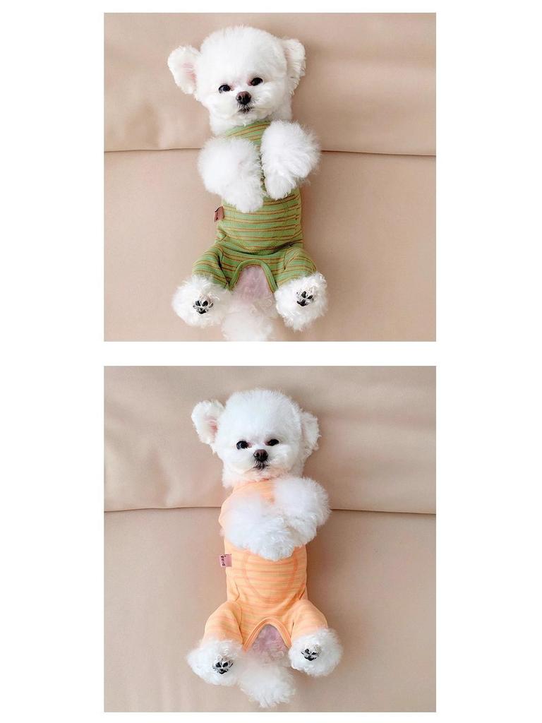 Pet Dog Belly Band: Autumn/Winter Four-Legged Outfit for Teddy, Shiba Inu, Bichon, Yorkshire, Cats