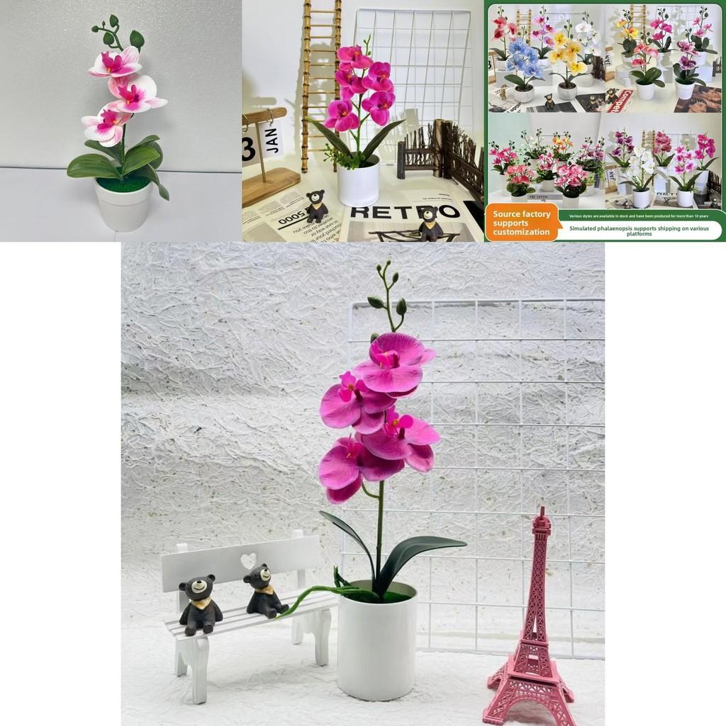 Butterfly Orchid Artificial Plant With 3d Printing For Home Decor And Photography Props