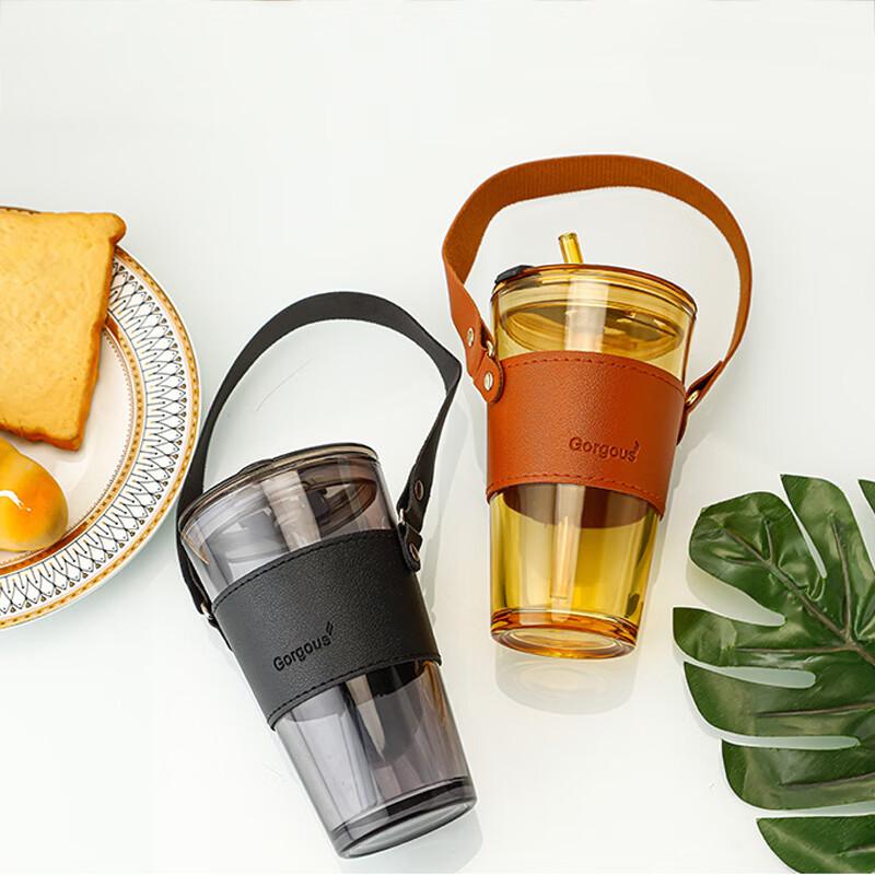 Zhenqi Portable Glass Water Bottle with Straw and Rope Handle, 450ml