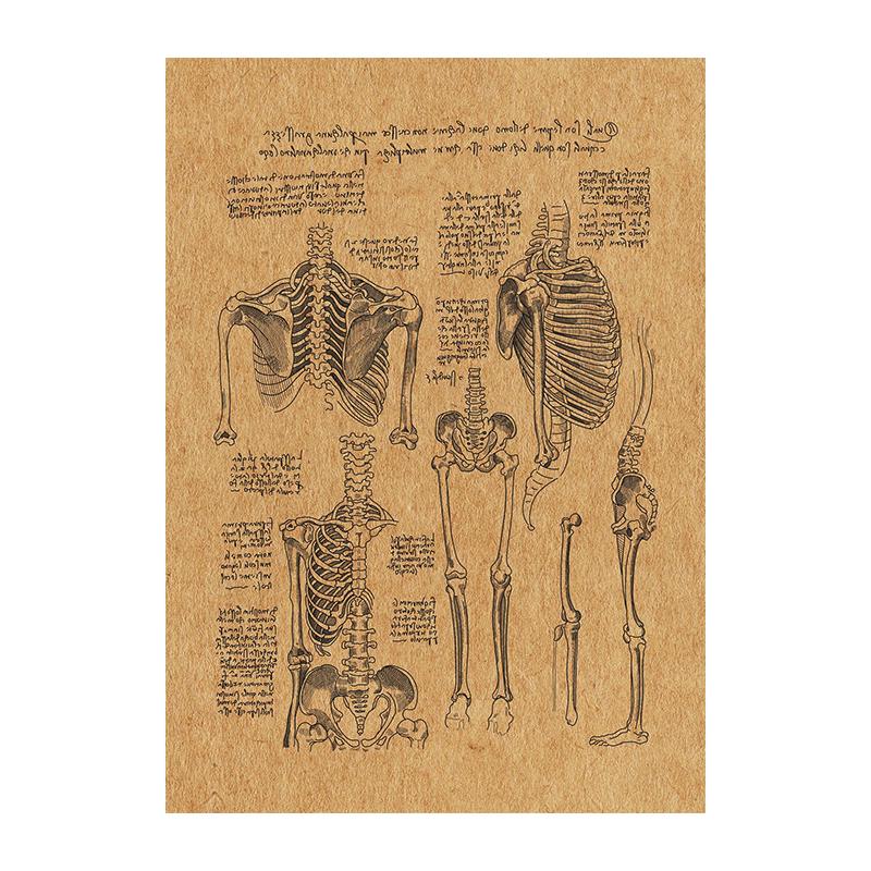 Ανθρώπινη Ανατομία Τέχνη Καμβάς Ζωγραφική Εκτυπώσεις Όργανο Σκελετός Vintage Αφίσα Εκπαίδευση Εικόνα Για Δωμάτιο Σπίτι Κλινική Ιατρική Διακόσμηση Τοίχου