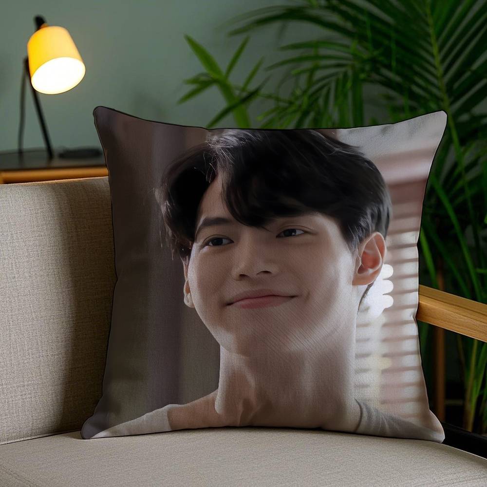 W-Win M-Metawin Kussensloop Anti-Huisstofmijt Onzichtbare Rits Bankbed Peach skin 18*18(CM)-1Pcs