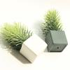 Ляльковий будиночок із імітацією зеленої рослини Портативний керамічний ляльковий будиночок Мініатюрні соснові гілки для лялькового будиночка 1/6