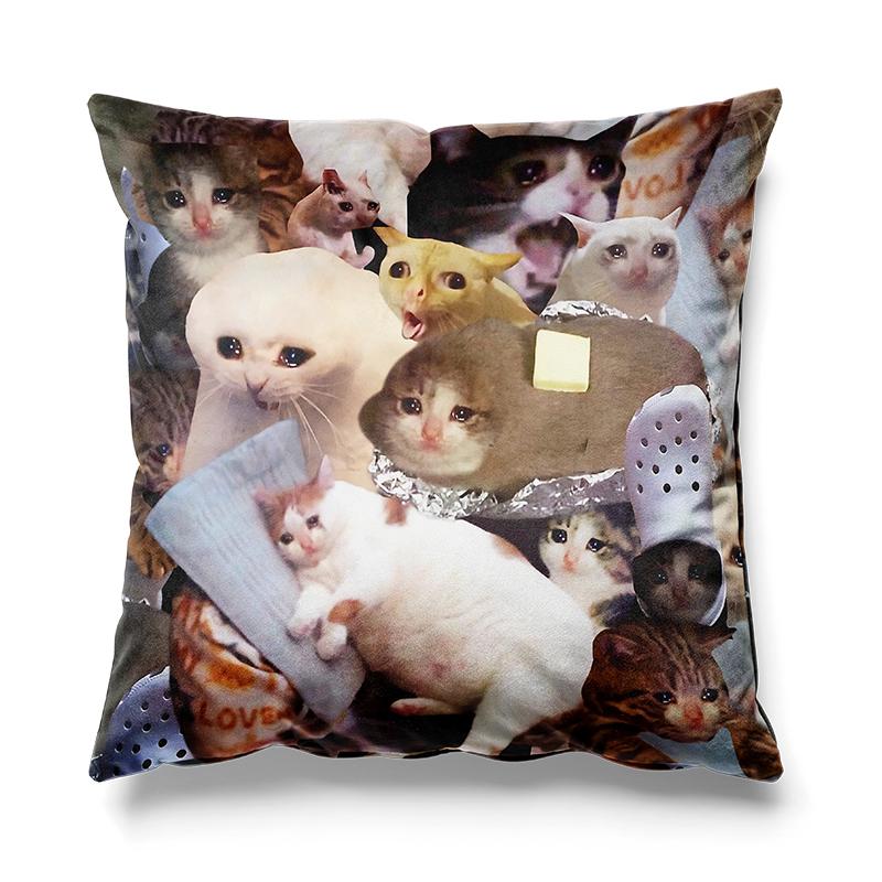 Aertemisi 18 X 18 Crying Cat Memes Square Throw Pillow Cushion Covers Cases Pillowcases 45Cm X 45Cm Peach skin 18*18(CM)-1Pcs