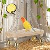 Wear-Resistant Bird Hanging Swing Wooden Bird Toy Hammock Bird Cage Standing  Bird Cage Accessories