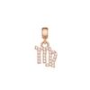 Daniel Wellington Necklace/Pendant DIY constellations & numbers, alloy crystal, crystal pendant, exclusive secret series, same style DW00400733