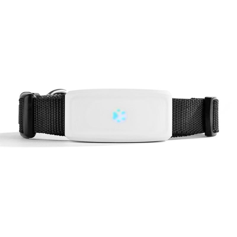 2G GSM GPS Tracker Pet TK911 GPS Locator TKSTAR Mini GPS Pets Tracker 2G GSM Best Dog GPS Tracker With Free APP Waterproof IP67 With Original Box