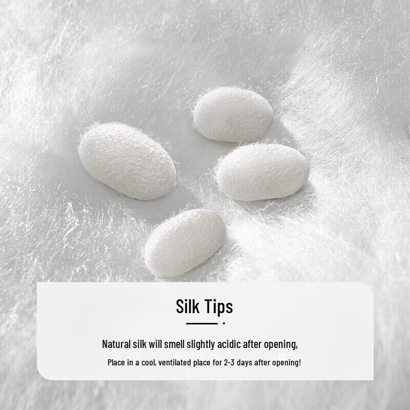 Fu Anna Four Seasons Tussah Silk Quilt with Cotton Cover