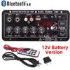 220V 12V Digital Bluetooth amplificator bord subwoofer dual microfon karaoke amplificator difuzor Home Theater DIY versiune reîncărcabilă