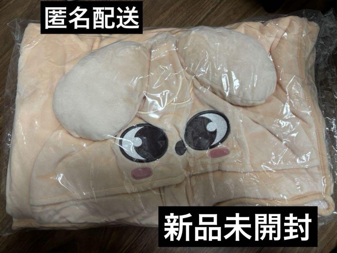 

[USED] Unwanted StrayKids SKZOO Puppy Blanket