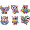 6pcs 2D Acrylic DIY Diamond Painting Magnets Refrigerator Diamond Art Magnets for Beginners Gifts Home Car Garage Decors