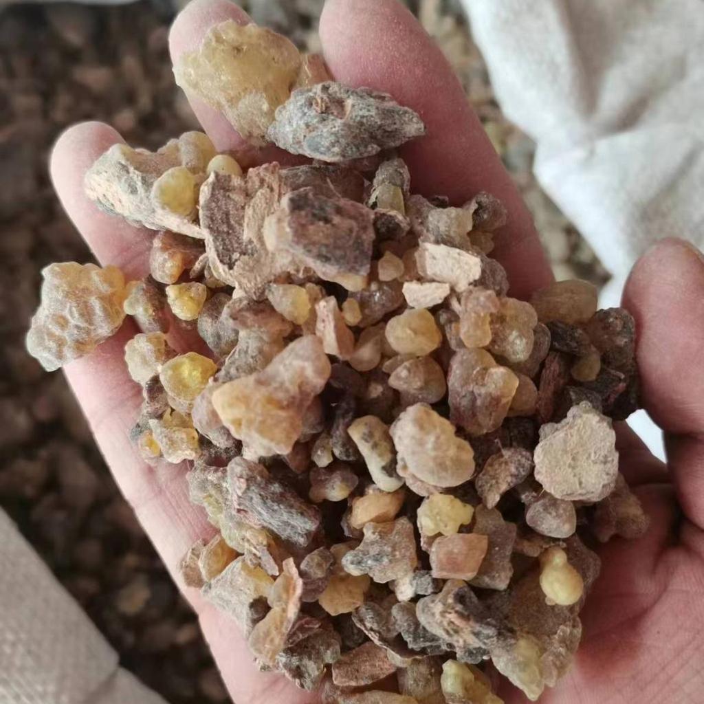 Somalian Food-Grade Frankincense Beads for Incense & Blending